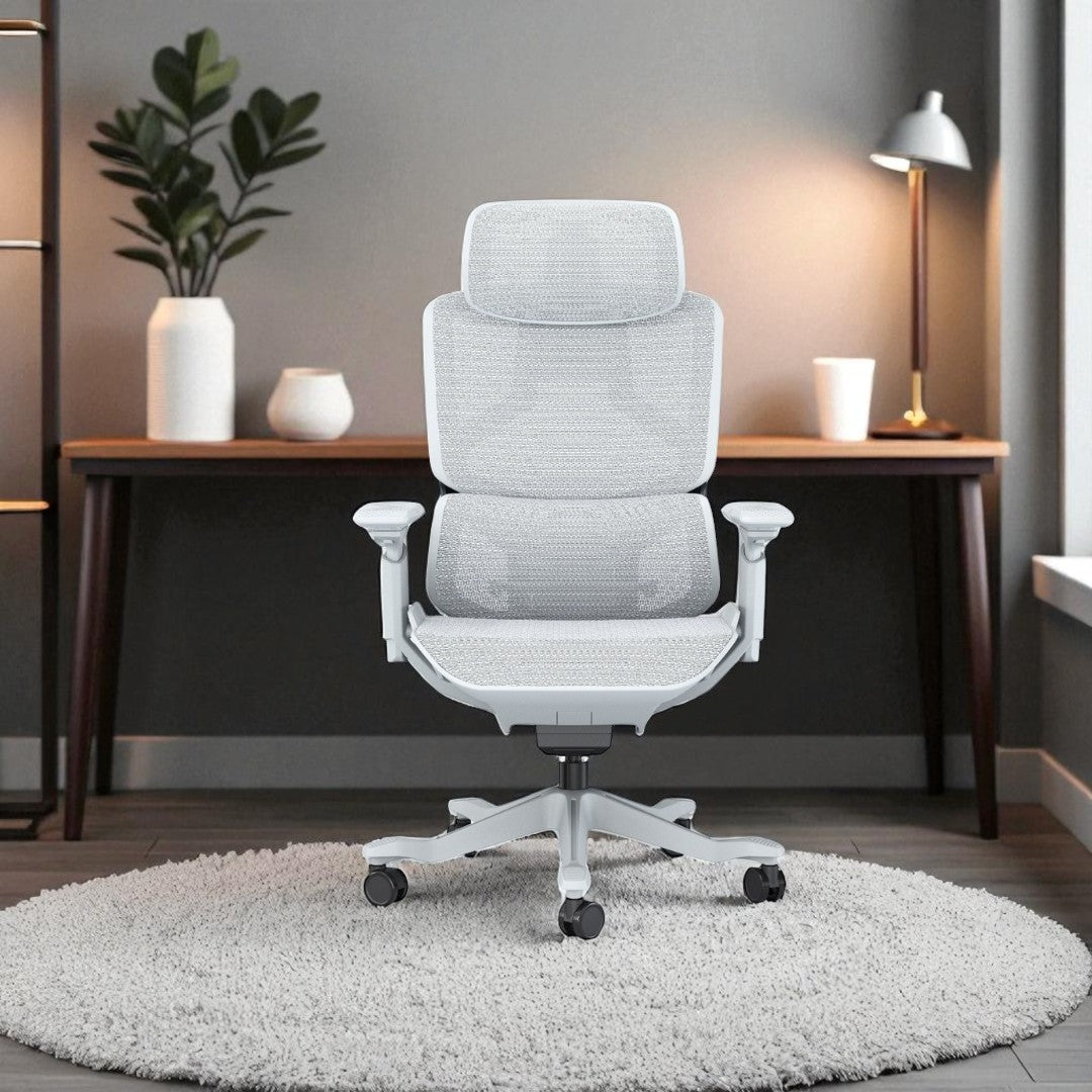 Ergonomic High Back Office Chair with Mesh