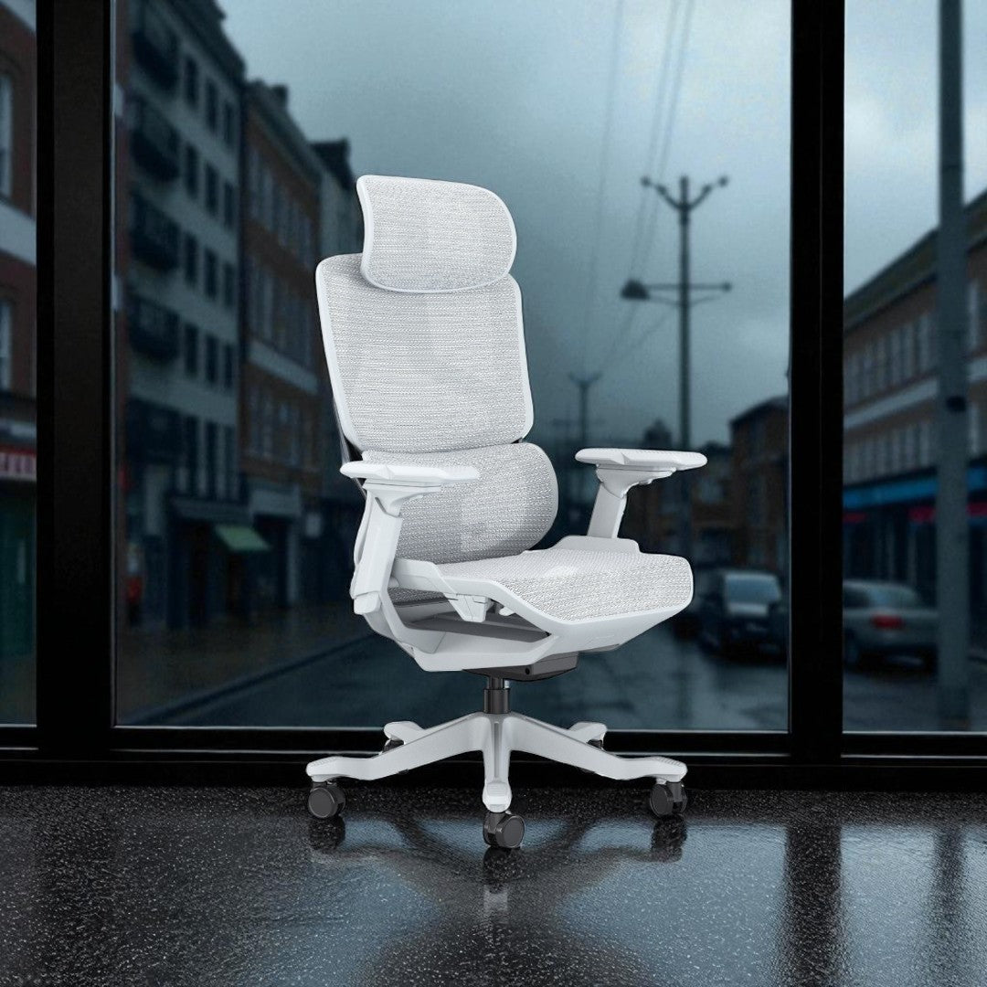 Ergonomic High Back Office Chair with Mesh
